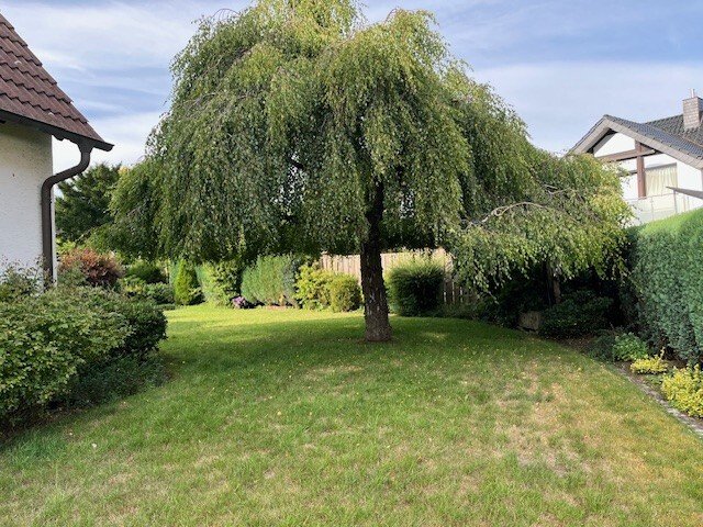 Garten Birke Garten Birke